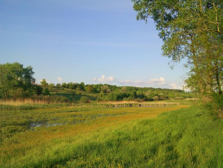 Гопчиця з panoramio.com - Гопчиця