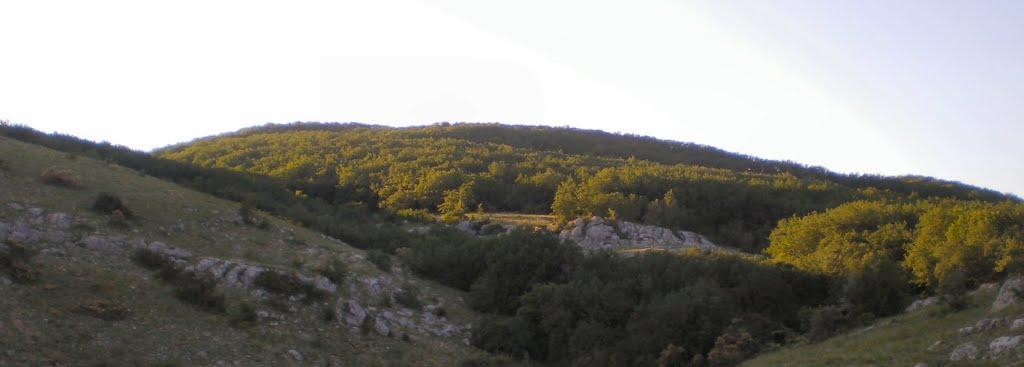 Пчолине з panoramio.com - Pcholyne