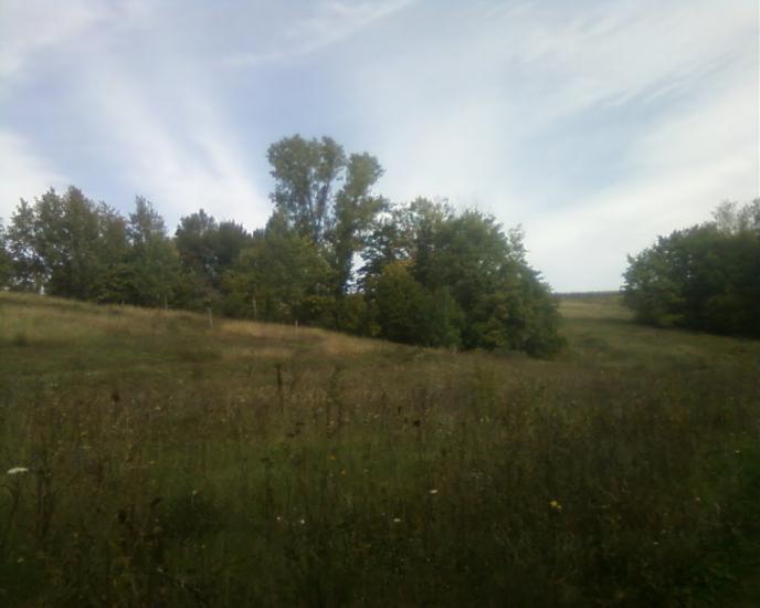 Синява з panoramio.com - Synyava
