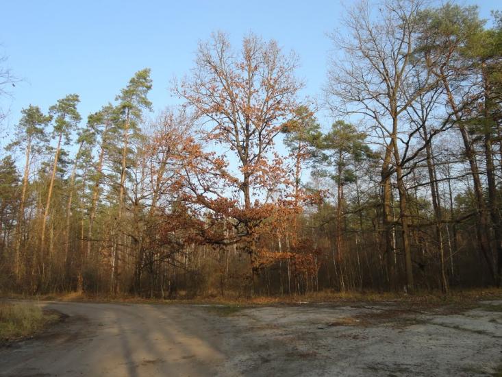 Гайове з panoramio.com - Гайове