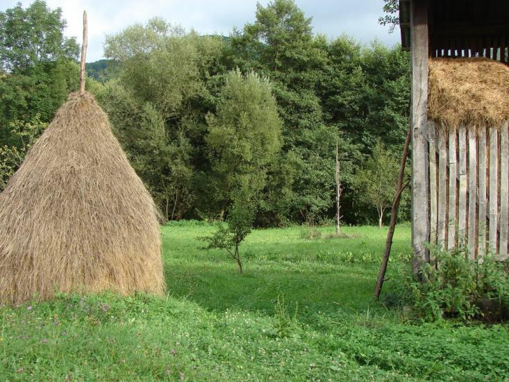 Хмелів з panoramio.com - Khmeliv