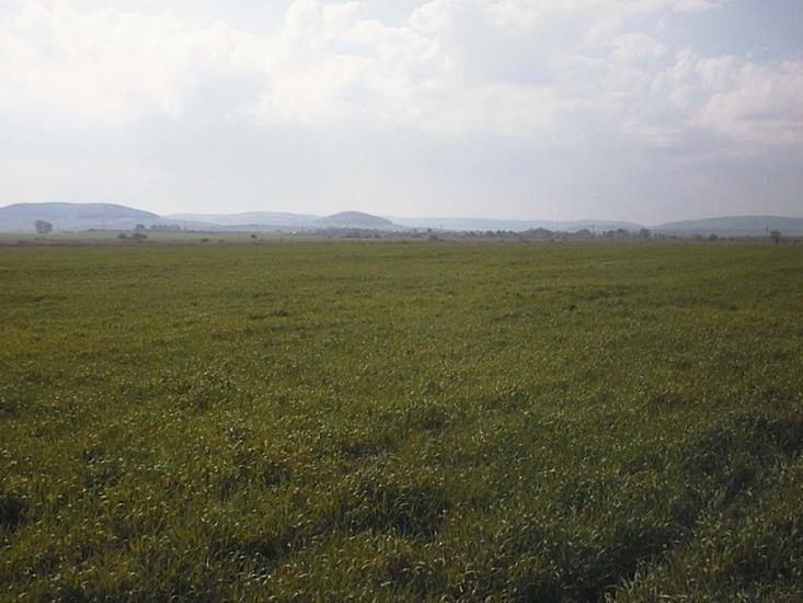 Солова з panoramio.com - Солова