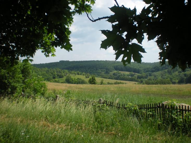 Грабовське з panoramio.com - Grabovske