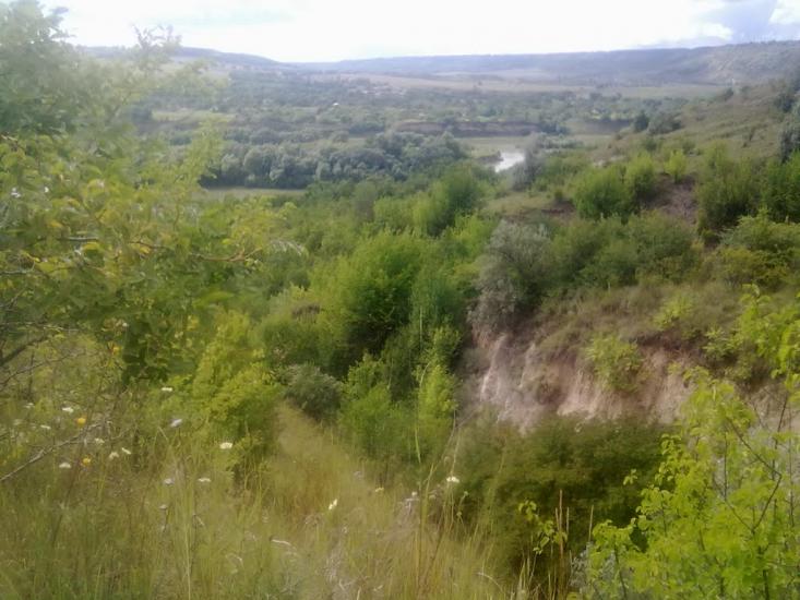 Кремінне з panoramio.com - Кременное