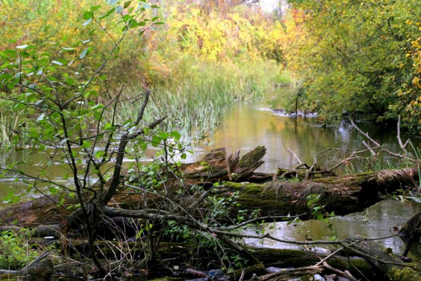 Торське з panoramio.com - Торское