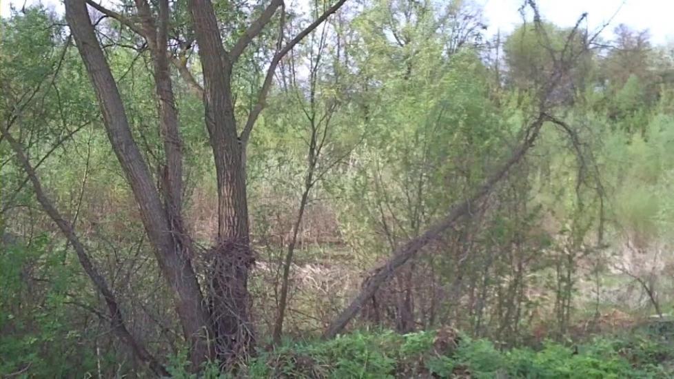 Олексіївка з panoramio.com - Алексеевка