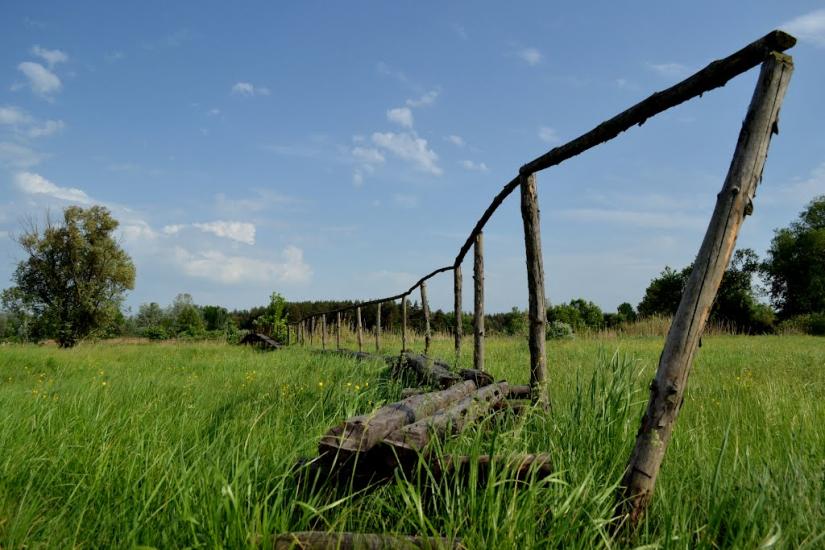 Писарівка з panoramio.com - Писарівка