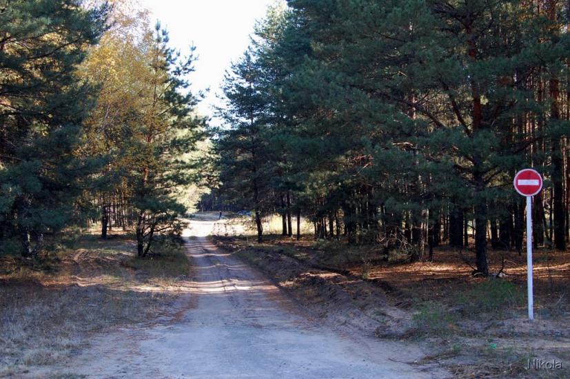 Кудряшівка з panoramio.com - Кудряшовка