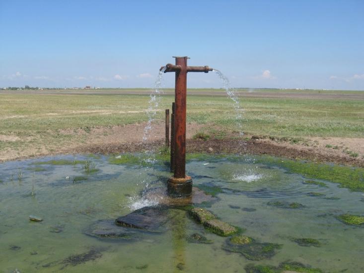 Волошине з panoramio.com - Волошине