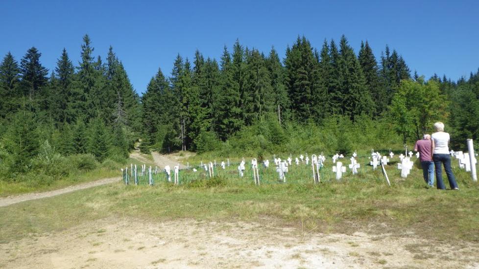 Вишків з panoramio.com - Vyshkiv