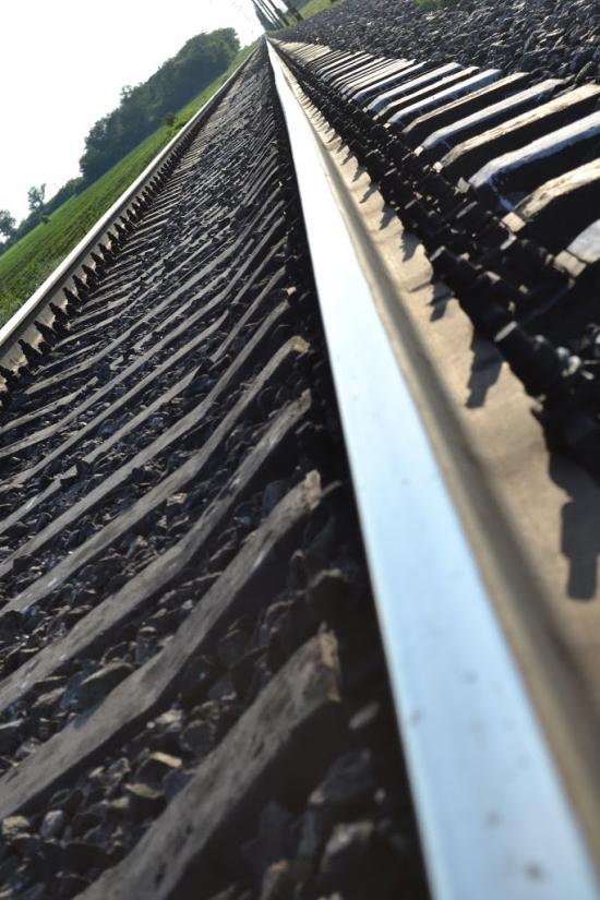 Грушки з panoramio.com - Грушки