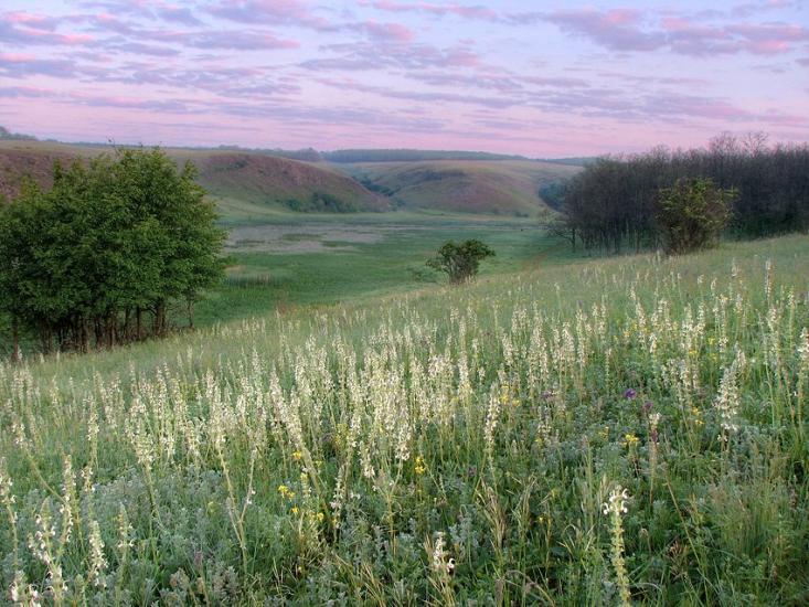Кременівка з panoramio.com - Кременівка