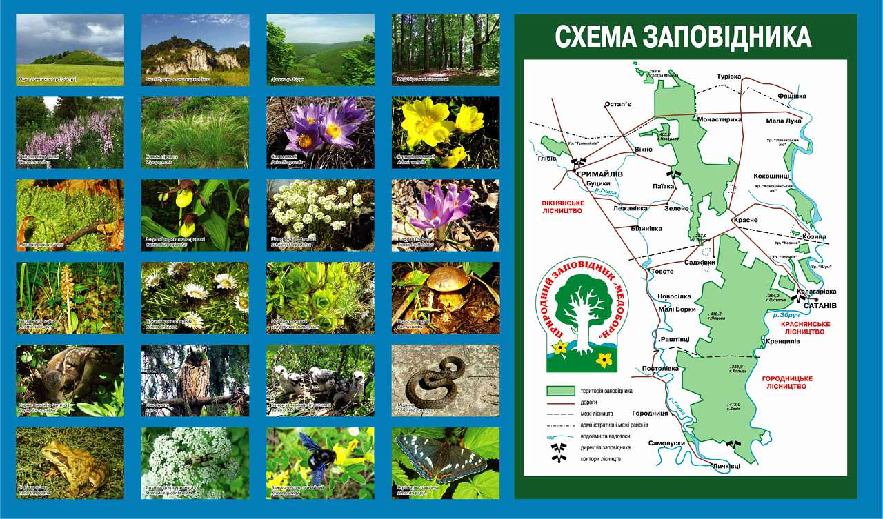 МiЙ ГРИМАЙЛIВ - Гримайлів