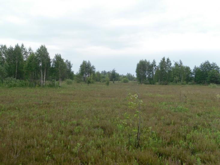 Нова Гребля з panoramio.com - Новая Гребля
