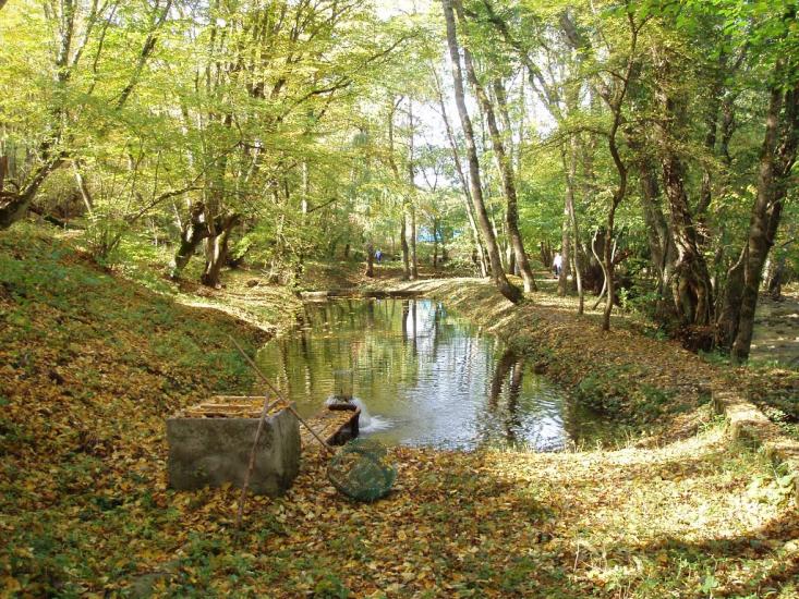 Щасливе з panoramio.com - Schaslyve