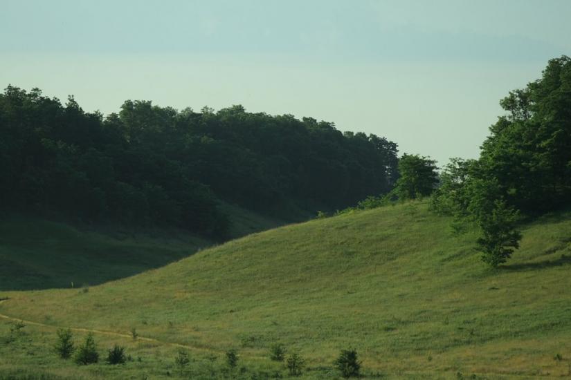 Прихідьки з panoramio.com - Prykhidky