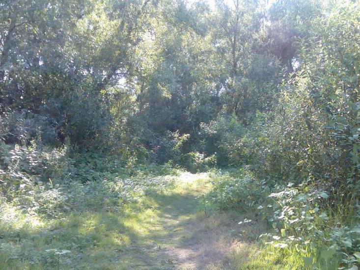 Крехаїв з panoramio.com - Крехаїв