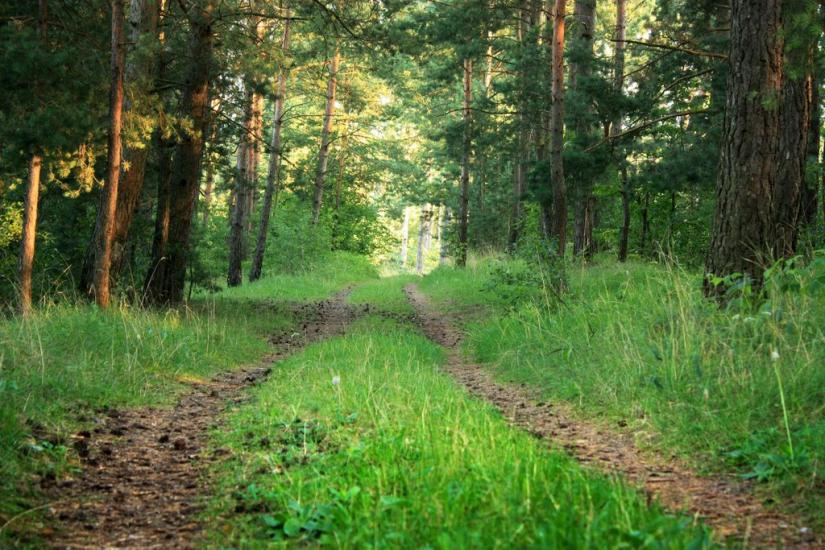 Хильчиці з panoramio.com - Хильчиці