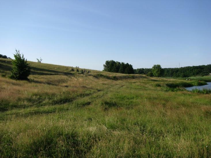 Чемужівка з panoramio.com - Чемужовка