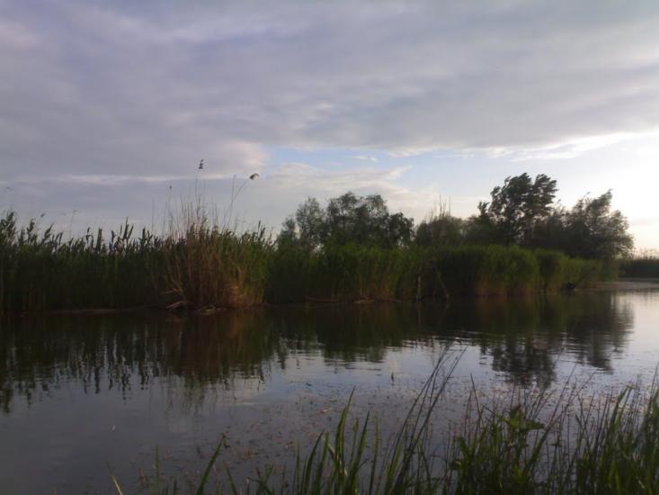 Кислиця з panoramio.com - Кислица