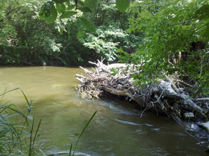 Колесниківка з panoramio.com - Колесниківка