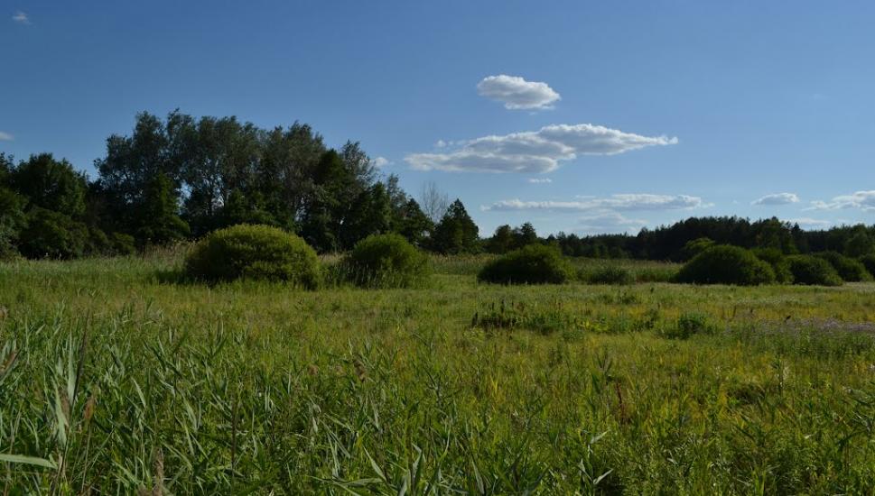 Мала Перещепина з panoramio.com - Малая Перещепина