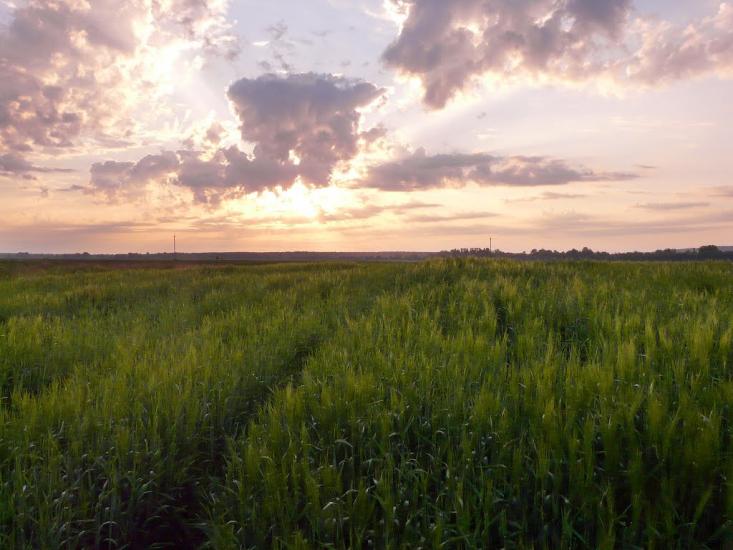 Мошни з panoramio.com - Мошни