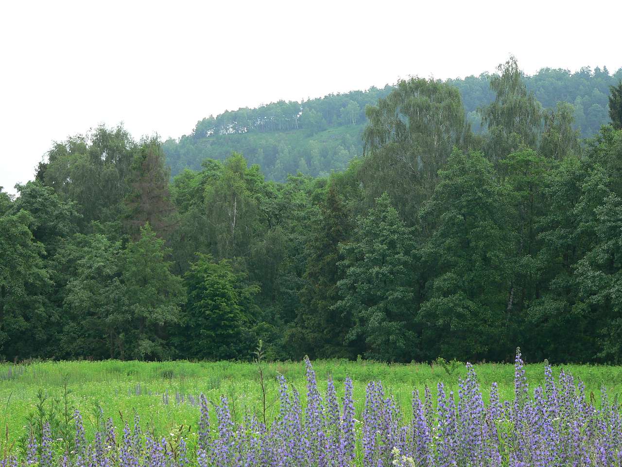 кременець - Kremenets