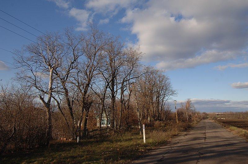 Діброва з panoramio.com - Діброва