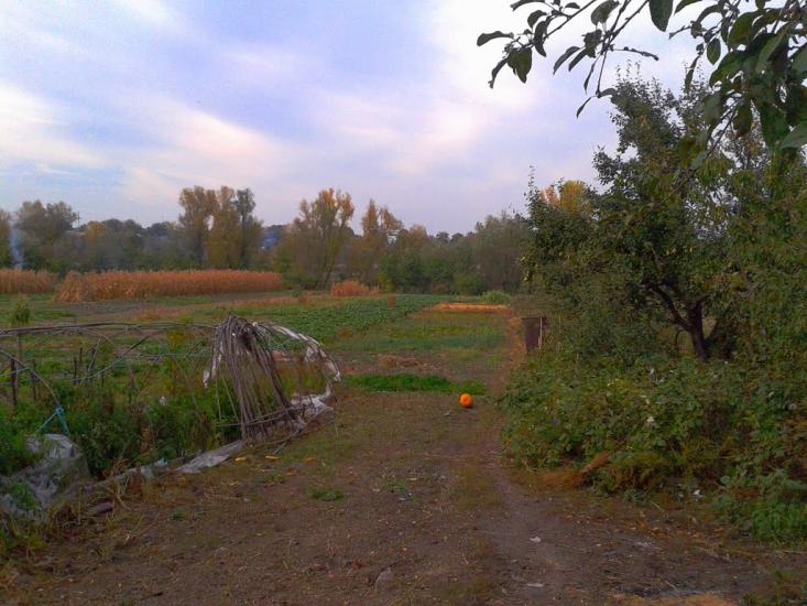 Устя з panoramio.com - Устя