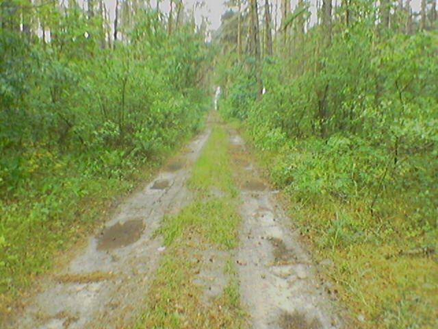 Гончарівське з panoramio.com - Гончаровское