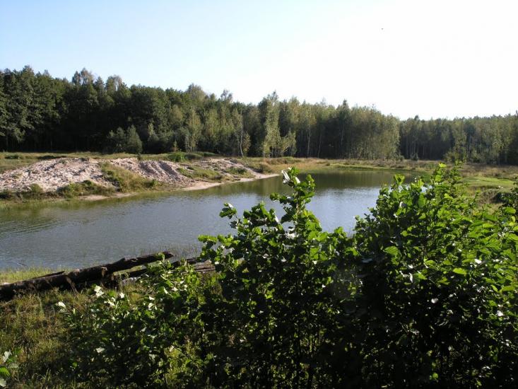 Руська Поляна з panoramio.com - Русская Поляна