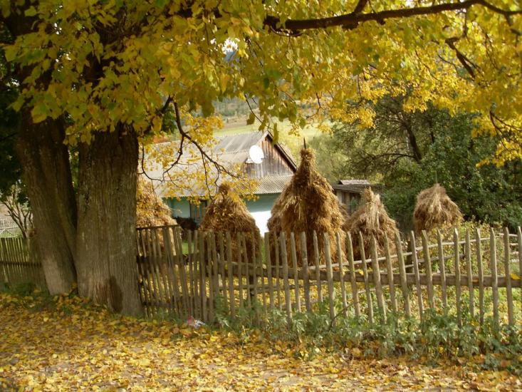 Карпатське з panoramio.com - Карпатське