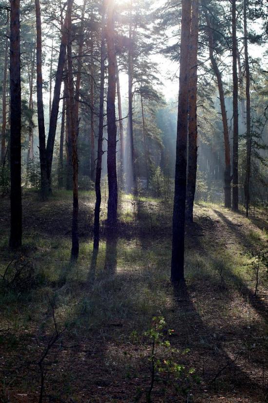 Ямпіль з panoramio.com - Yampil