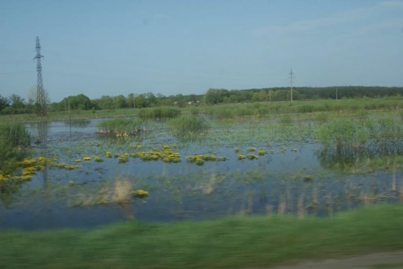 Кравчиха з panoramio.com - Кравчиха