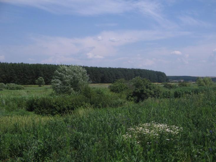 Шестакове з panoramio.com - Шестакове