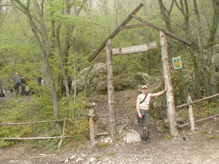 Олива з panoramio.com - Олива