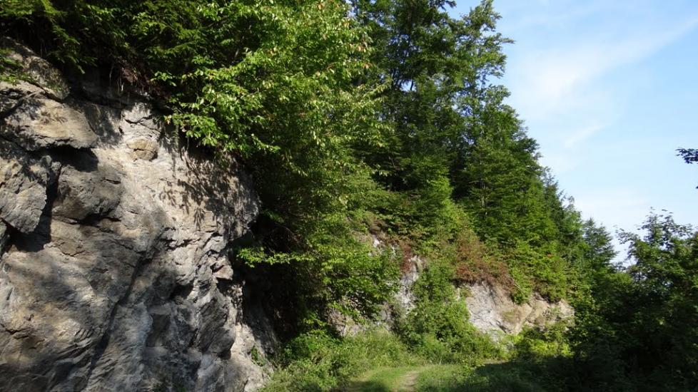 Луг з panoramio.com - Луг