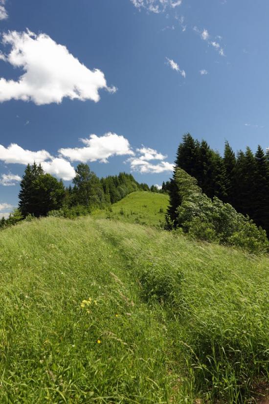 Лопушна з panoramio.com - Лопушна