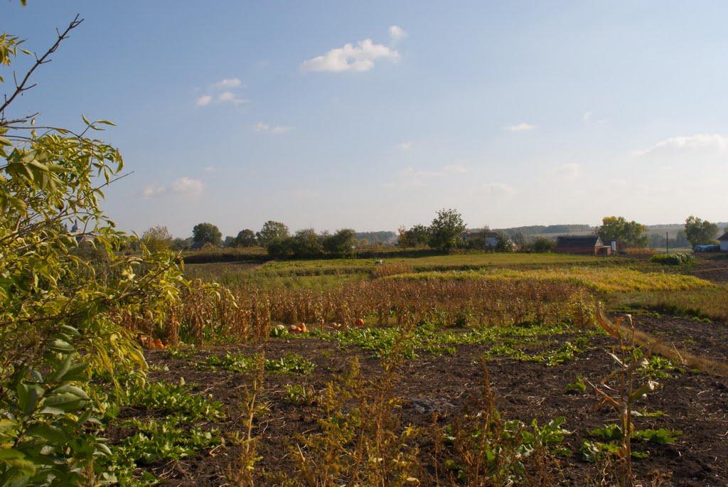 Великий Митник з panoramio.com - Великий Митник