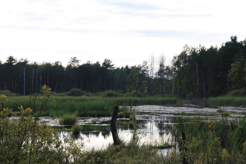 Кошари з panoramio.com - Кошари
