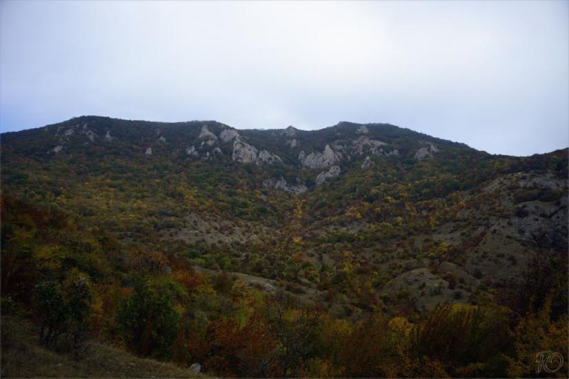 Зеленогір'я з panoramio.com - Зеленогорье