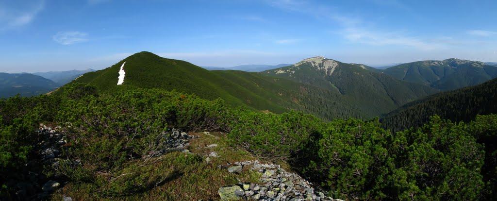 Осмолода з panoramio.com (ч.2) - Осмолода