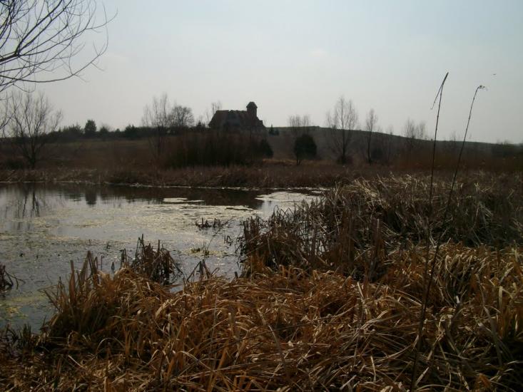 Водяне з panoramio.com - Водяне