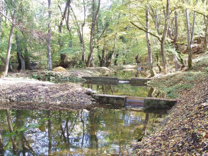 Щасливе з panoramio.com - Schaslyve
