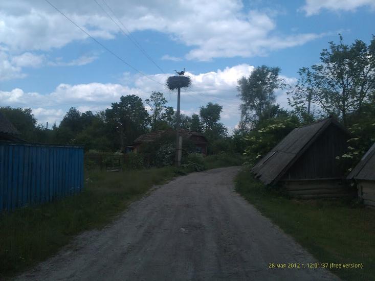 Вихвостів з panoramio.com - Выхвостов