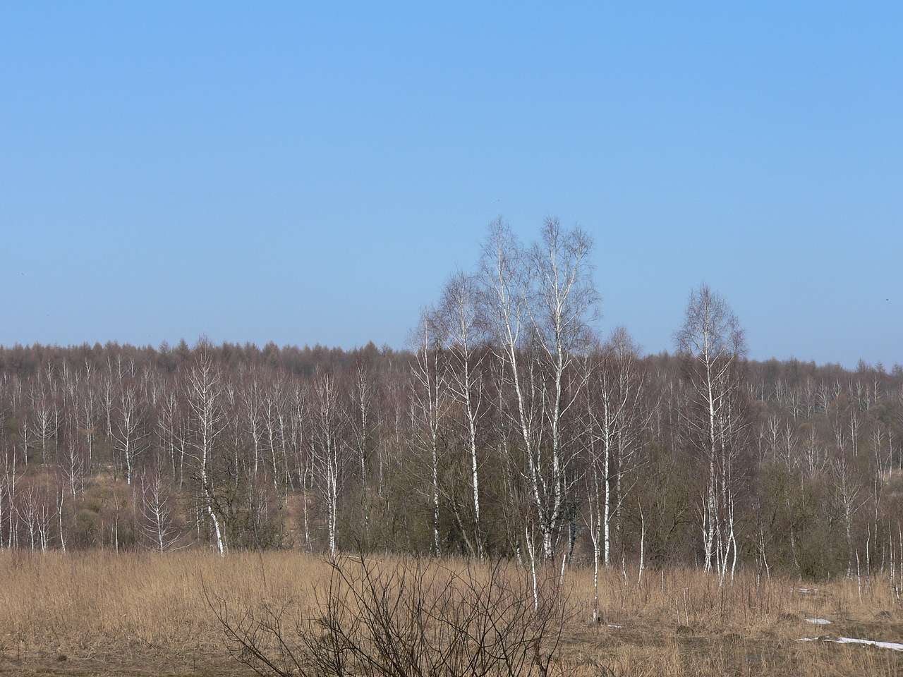 Полігон - Малі Бірки