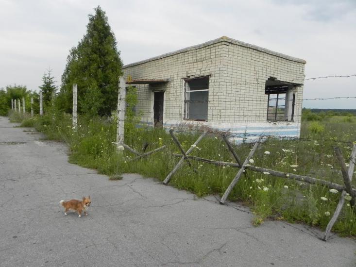 Славута з panoramio.com - Slavuta