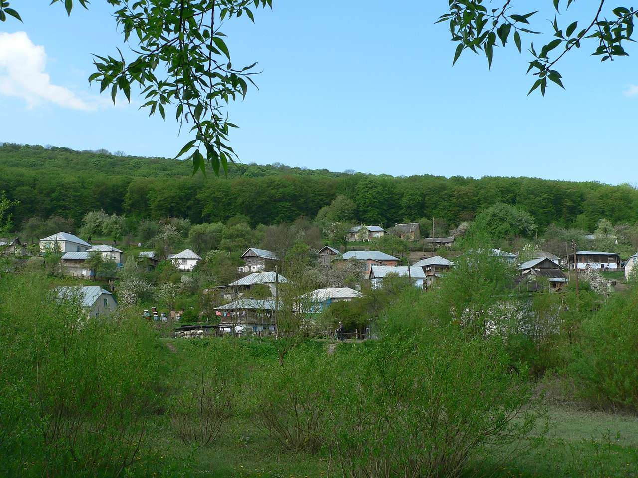 Кренцилів - Кринцілів