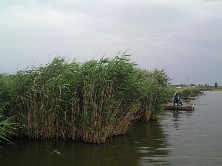 Біляївка з panoramio.com - Беляевка